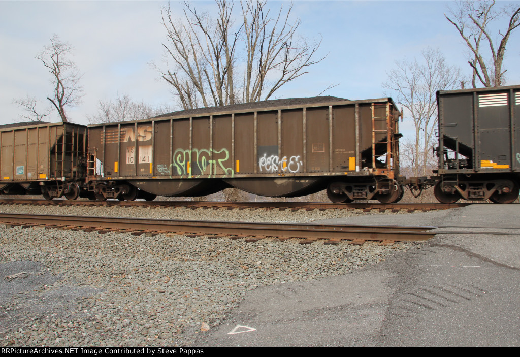 NS 10141